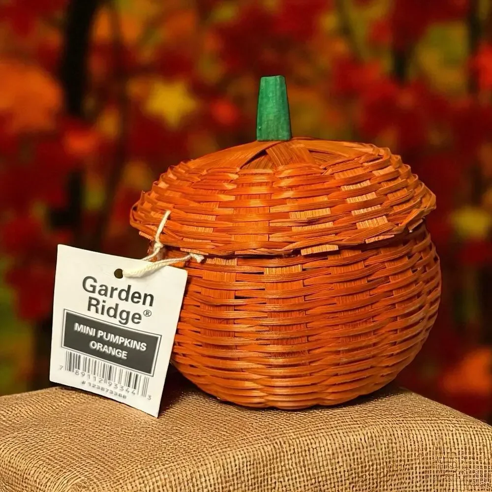NOS Wicker Halloween Thanksgiving Orange Mini Pumpkin Woven Basket & Lid 3.5”